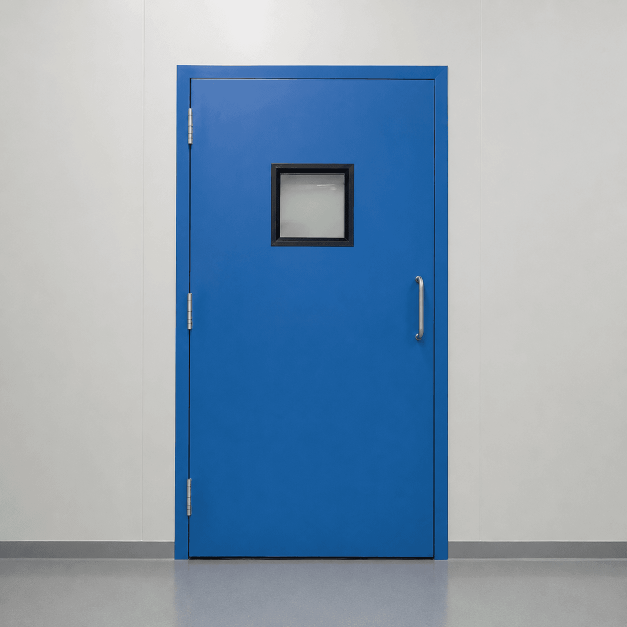Industrial Swing Door