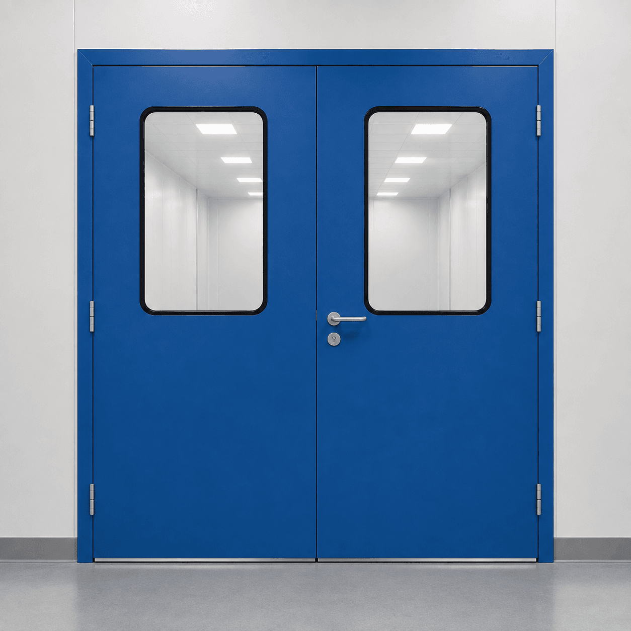 Swing Double Door